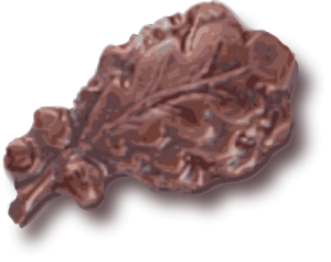 Bronze oakleaf-3d.svg